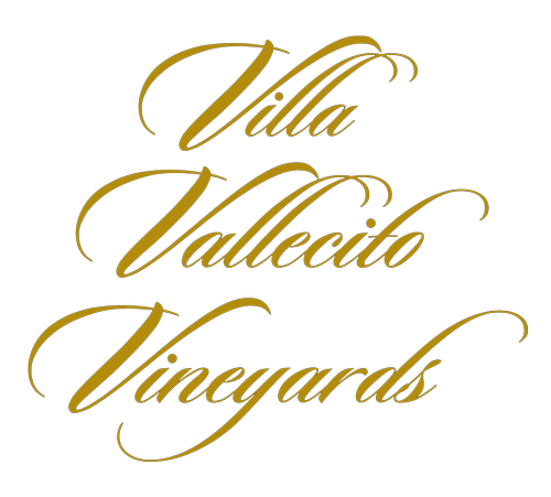 Villa Vallencito Vineyards Logo